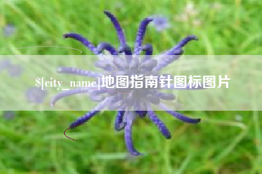 南充地图指南针图标图片