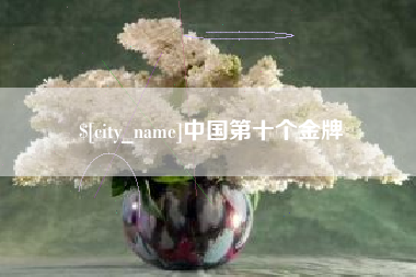 南充中国第十个金牌