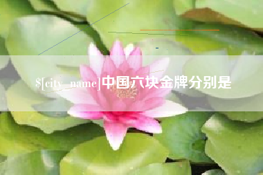 南充中国六块金牌分别是