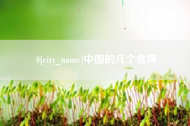 南充中国的几个金牌