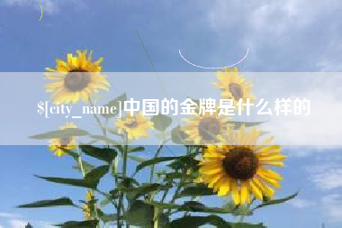 南充中国的金牌是什么样的