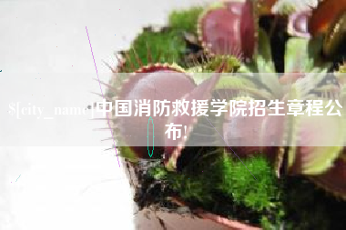 南充中国消防救援学院招生章程公布!