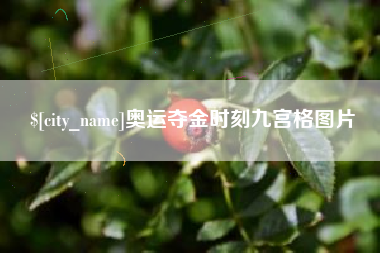 南充奥运夺金时刻九宫格图片
