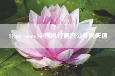 南充中国执行信息公开网失信