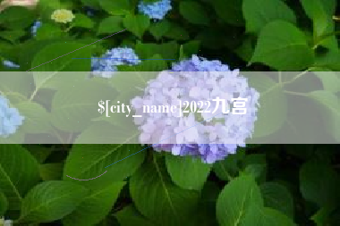 南充2022九宫