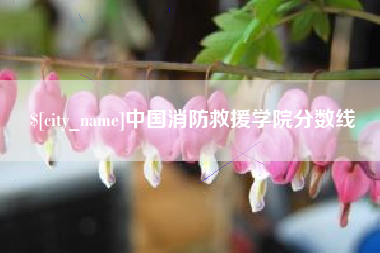 南充中国消防救援学院分数线