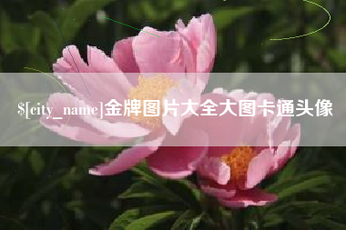 南充金牌图片大全大图卡通头像