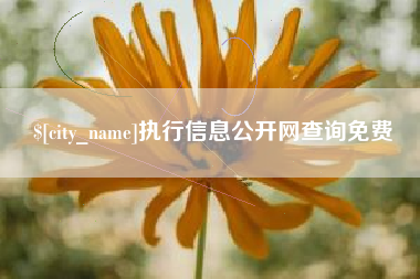 南充执行信息公开网查询免费