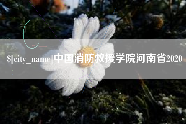 南充中国消防救援学院河南省2020