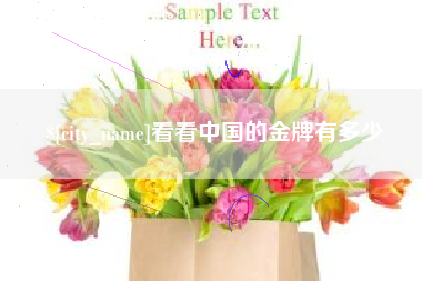 南充看看中国的金牌有多少